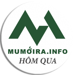 Mumoira.online - Mu Mới Ra